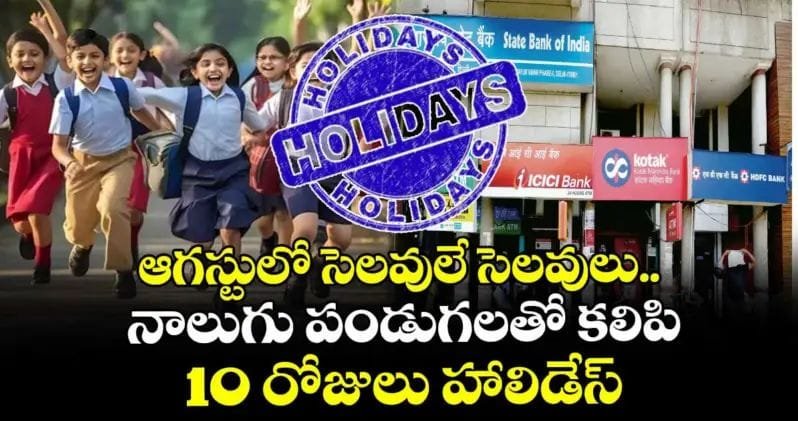 WhatsApp Image 2025-07-30 at 11.39.51 AM