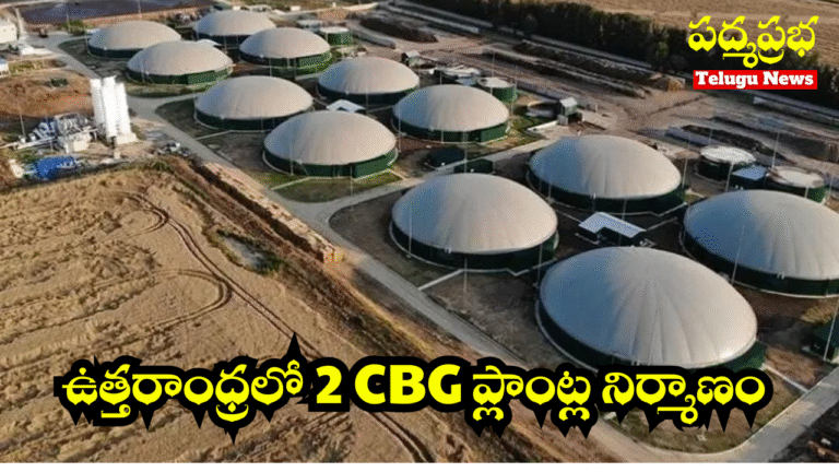 White and Yellow India Travel Vlog YouTube Thumbnail (1)