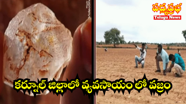 White and Yellow India Travel Vlog YouTube Thumbnail (2)