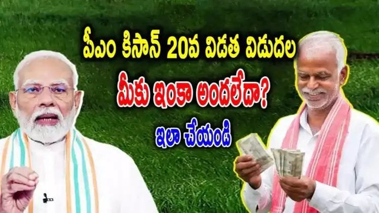 WhatsApp Image 2025-08-06 at 7.43.38 PM