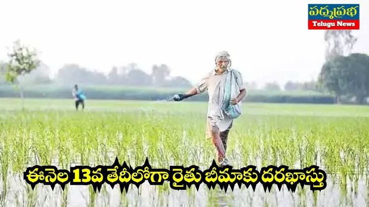 White and Yellow India Travel Vlog YouTube Thumbnail (748 x 421 px) (1)