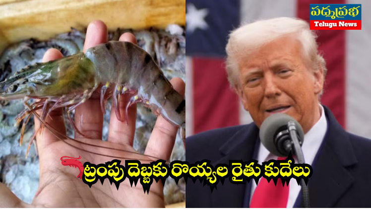 White and Yellow India Travel Vlog YouTube Thumbnail (748 x 421 px) (2)