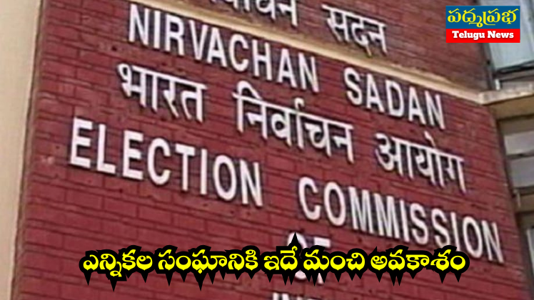 White and Yellow India Travel Vlog YouTube Thumbnail (748 x 421 px) (3)