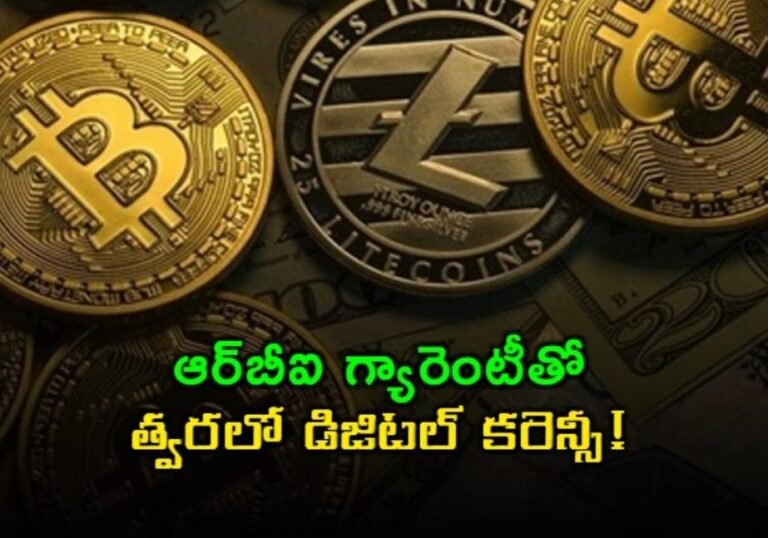 WhatsApp Image 2025-10-07 at 11.47.02 AM