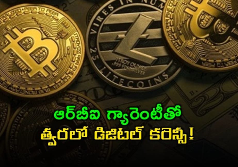 WhatsApp Image 2025-10-07 at 11.47.02 AM