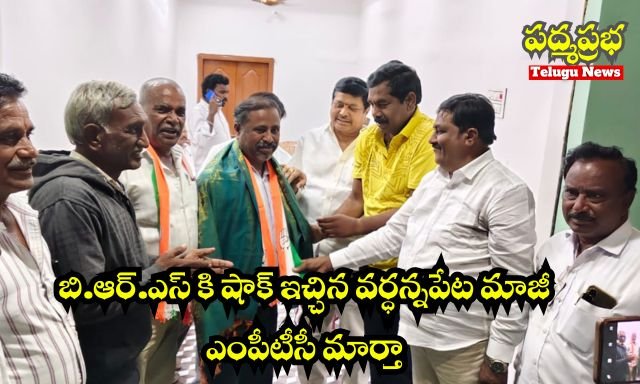 White and Yellow India Travel Vlog YouTube Thumbnail (640 x 384 px) (4)