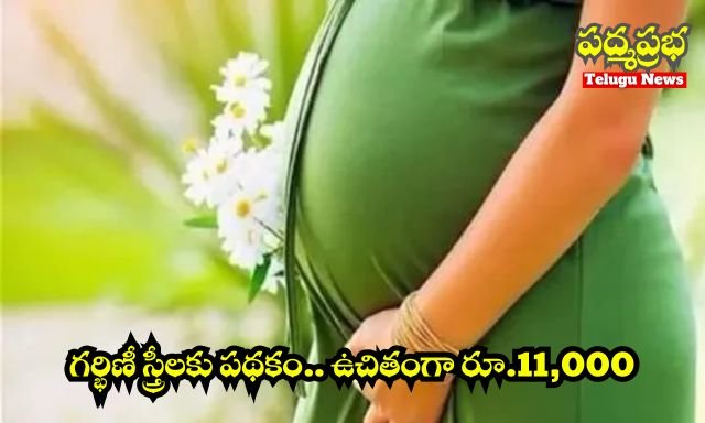 White and Yellow India Travel Vlog YouTube Thumbnail (640 x 384 px) (6)