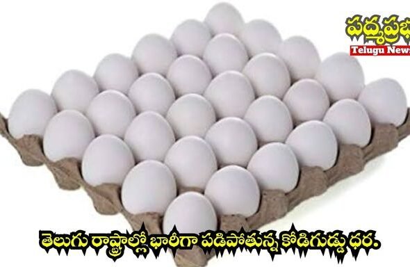 White and Yellow India Travel Vlog YouTube Thumbnail (640 x 384 px) (640 x 384 px) (1)