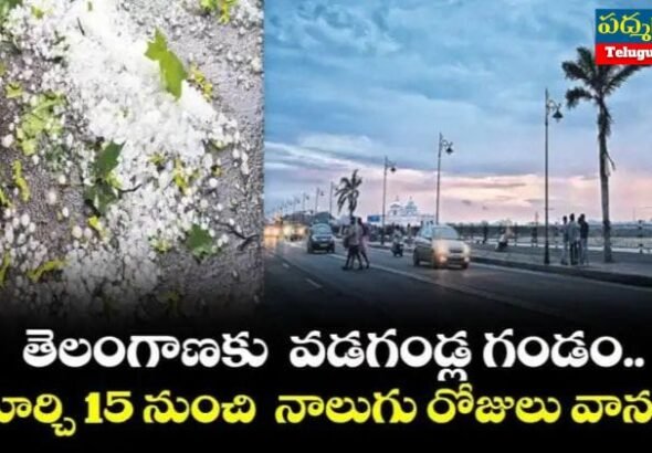 White and Yellow India Travel Vlog YouTube Thumbnail (748 x 421 px)